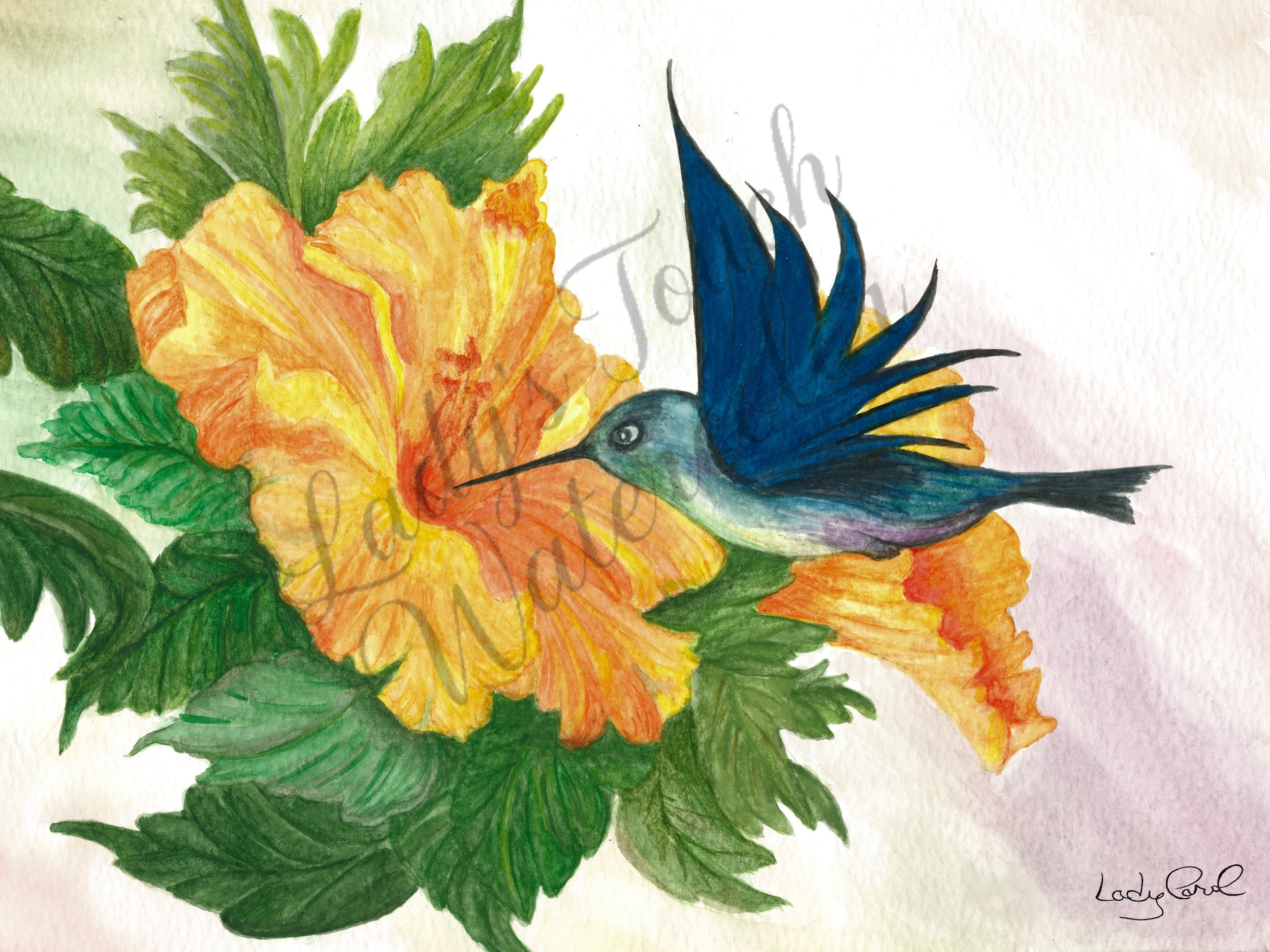 A Hummingbirds Duel - Framed - Flowers