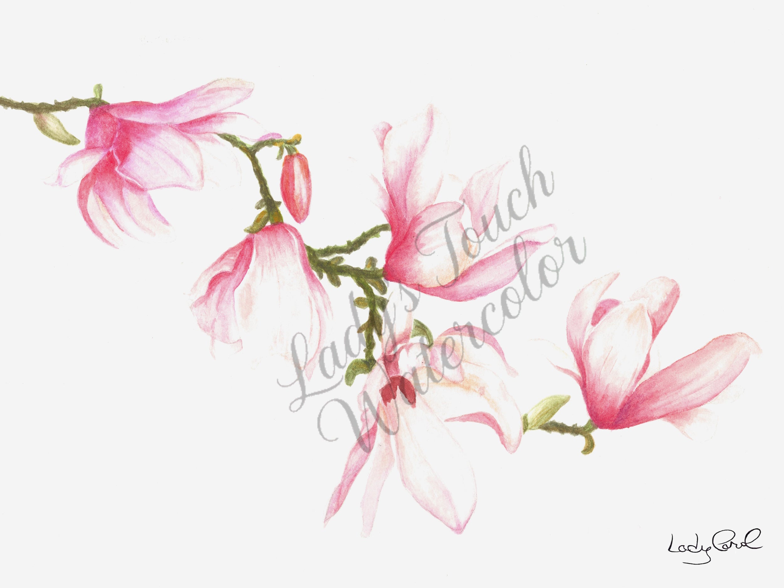 Almond Blossoms - Framed - Flowers