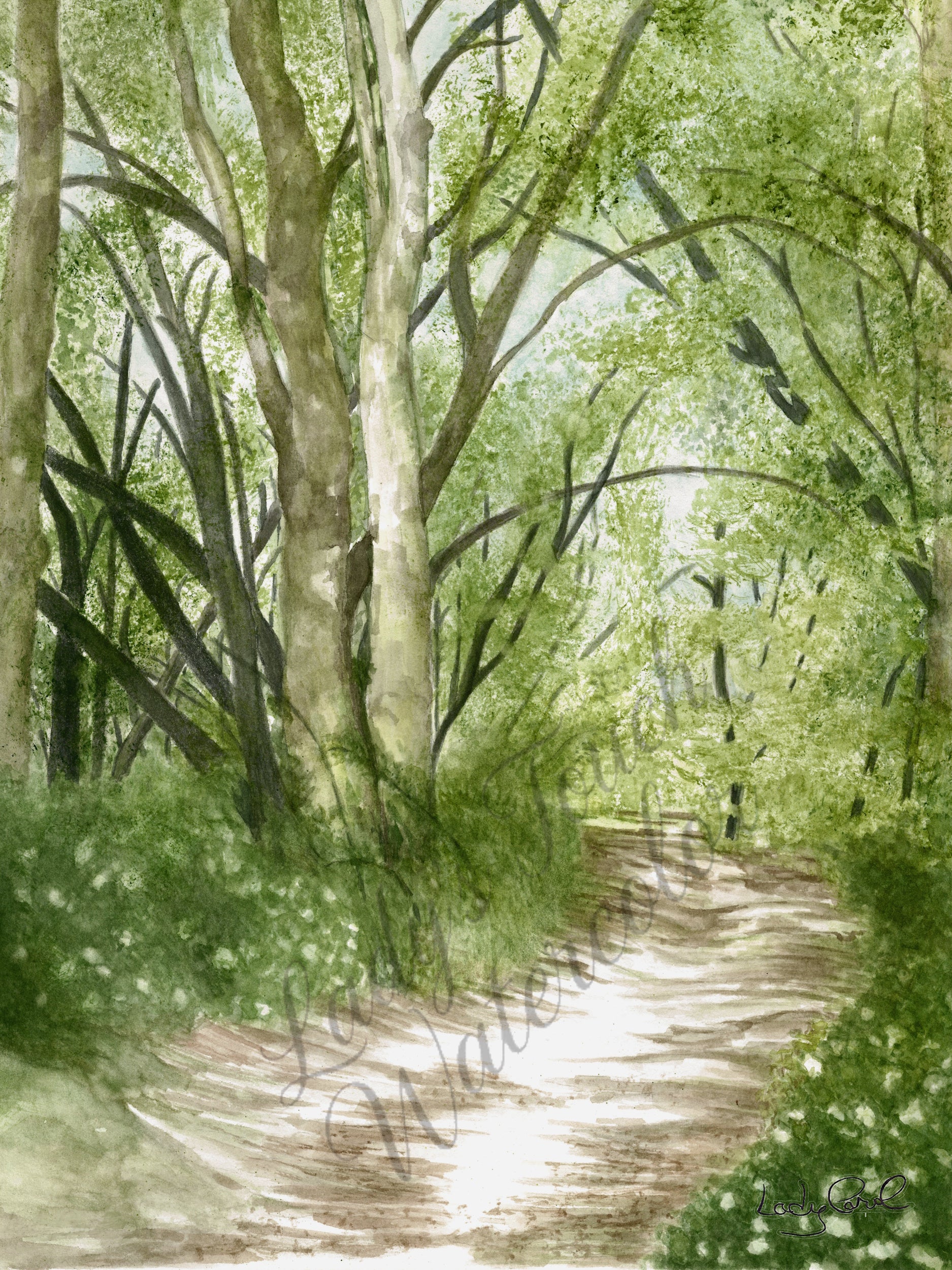 A Summer Walk - Unframed Print
