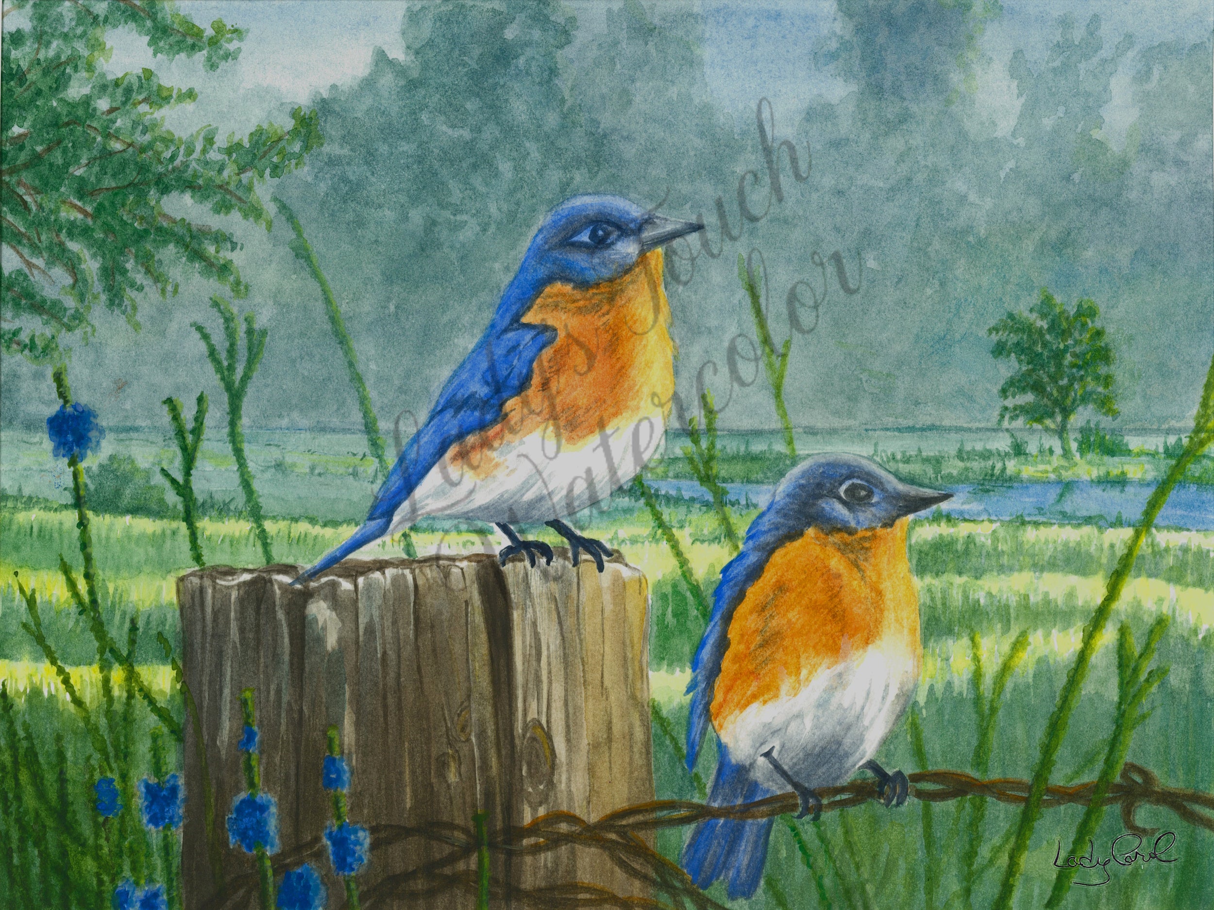 Bluebirds On A Wire - Framed - Scenery