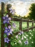 Evening On The Ranch - Unframed Print