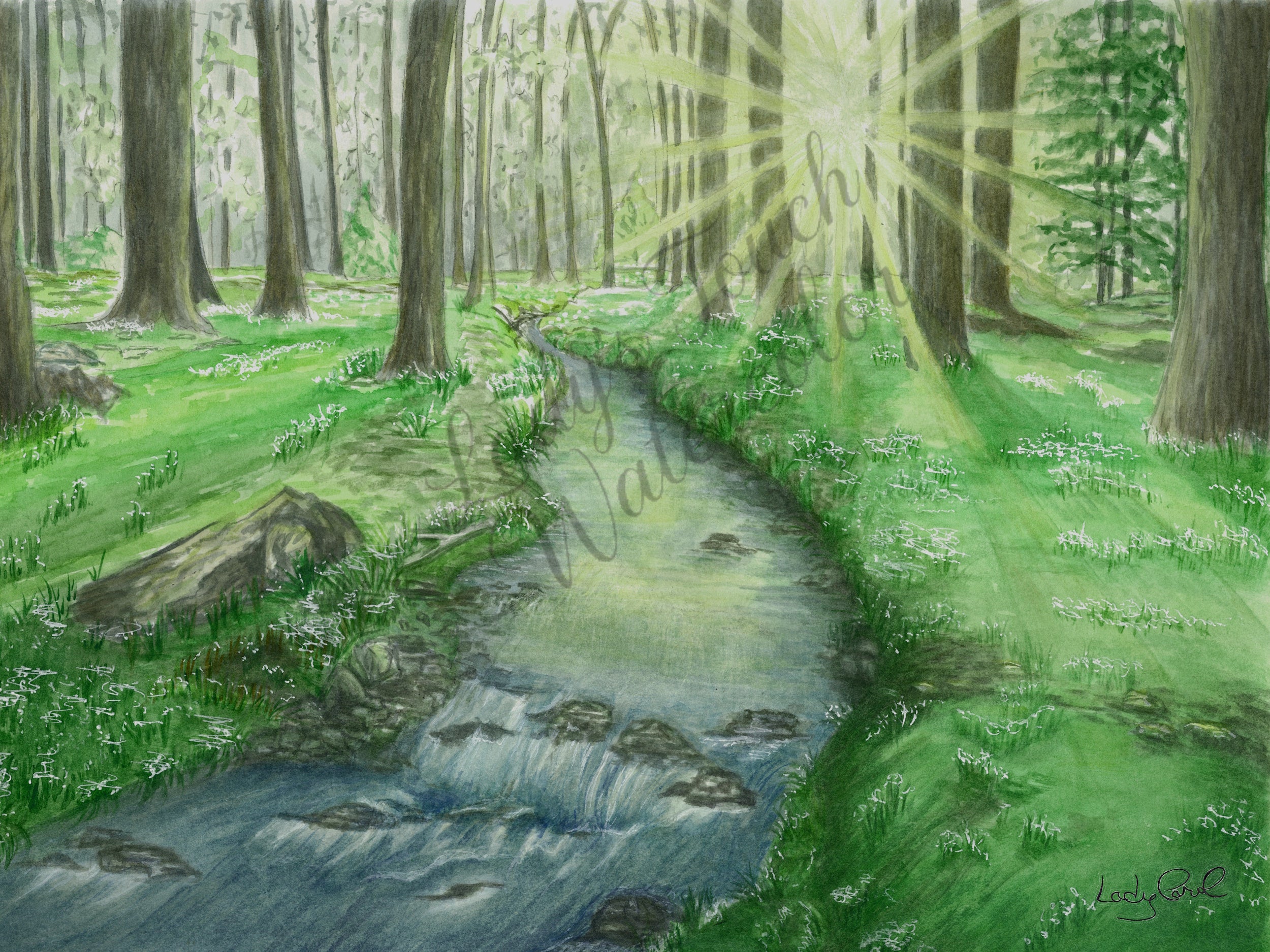 Forest Sunrise - Unframed Print