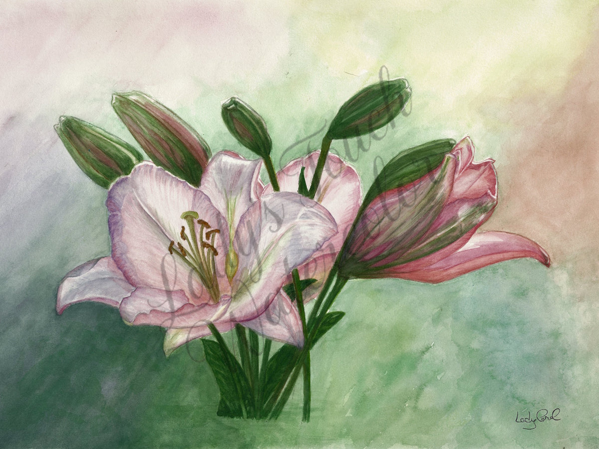 Lily Lia Lay - Unframed Print