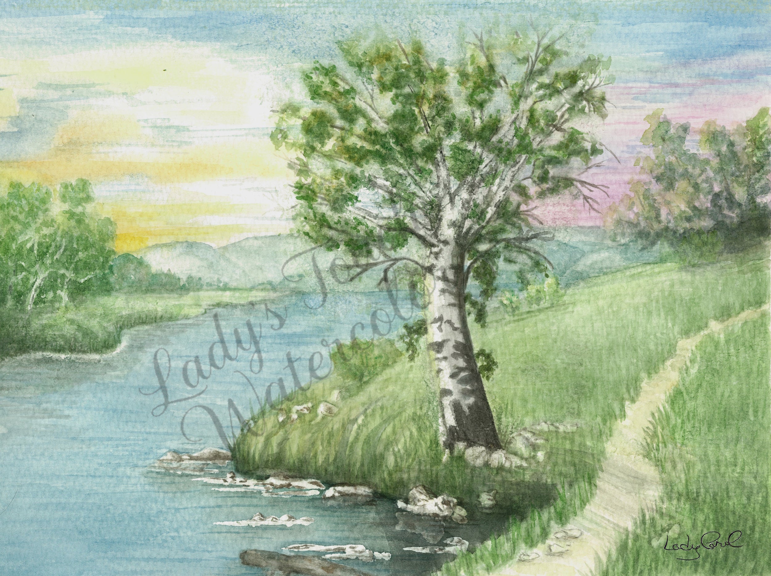 Lonesome Tree - Framed - Scenery