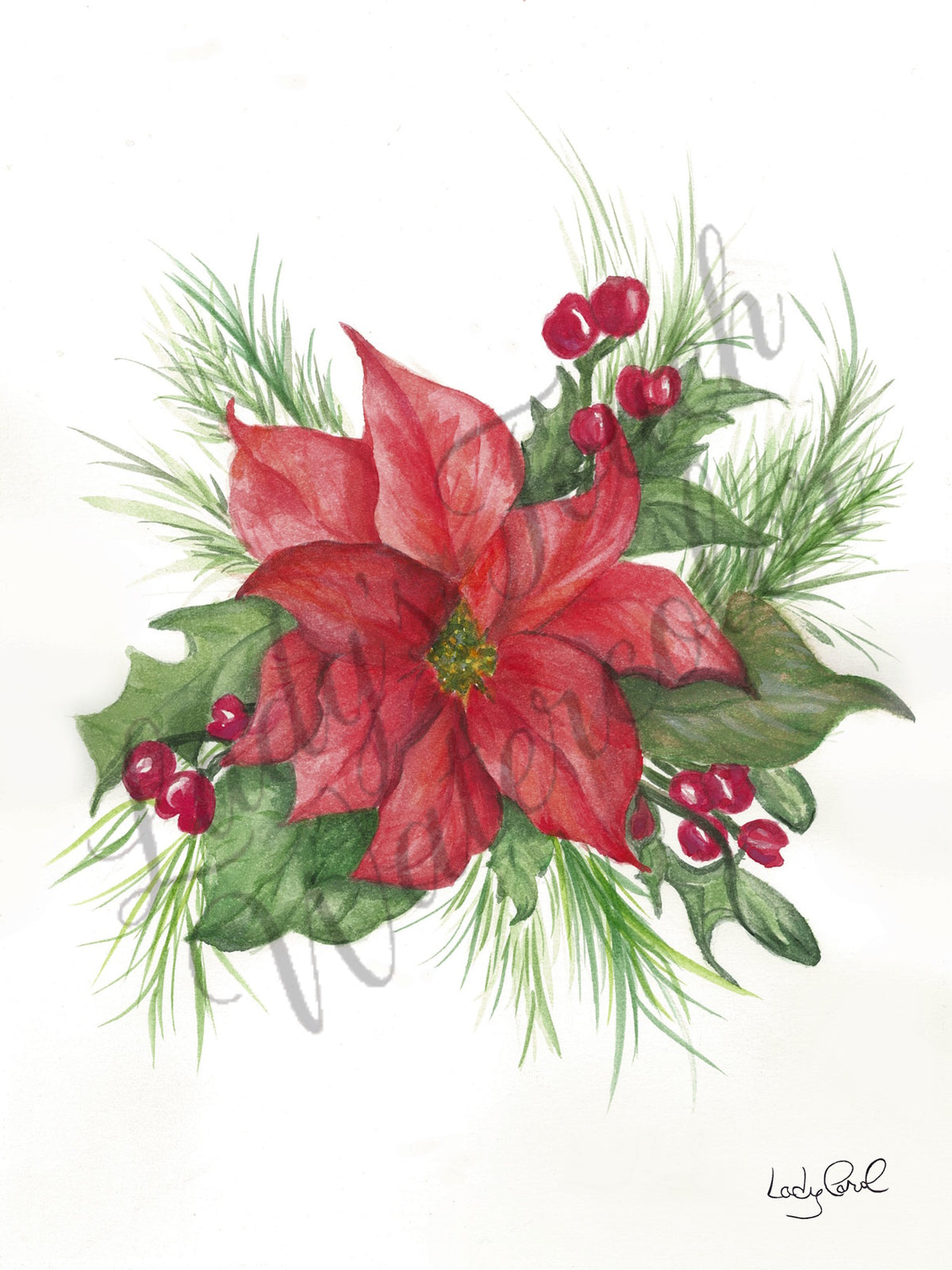 Poinsettia's Red - Unframed Print