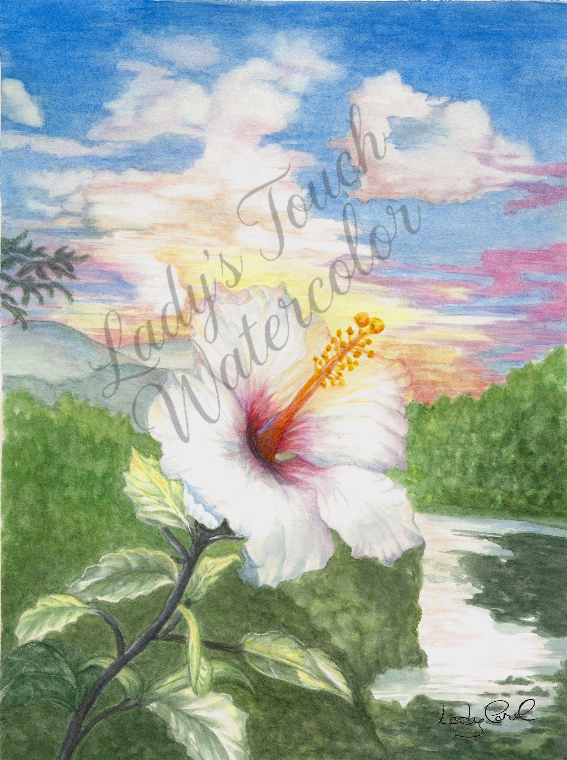 Hibiscus Sunset - Unframed Print
