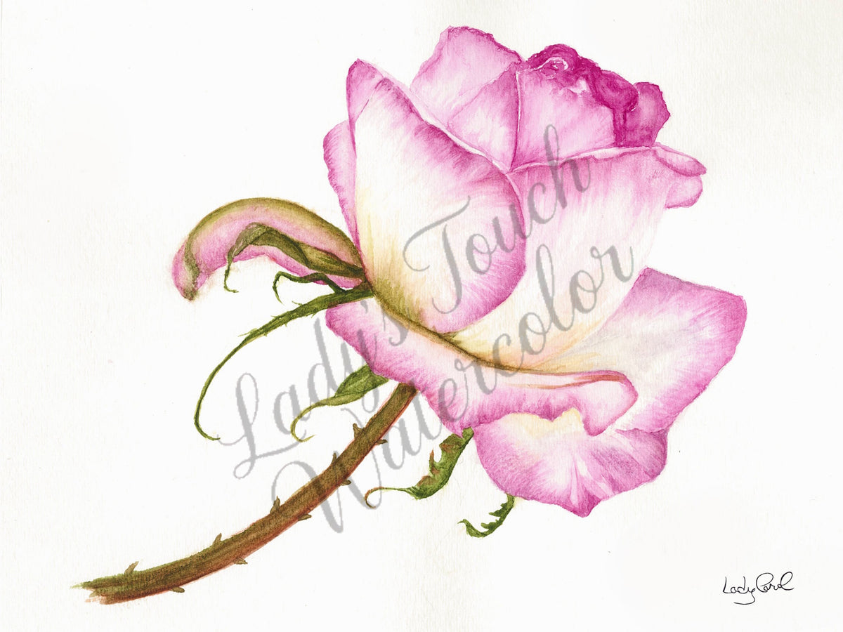 Pretty In Pink - Unframed Print