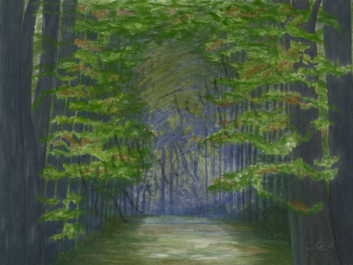 Spooky Forest - Unframed Print