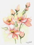 Tangerine Dream - Unframed Print