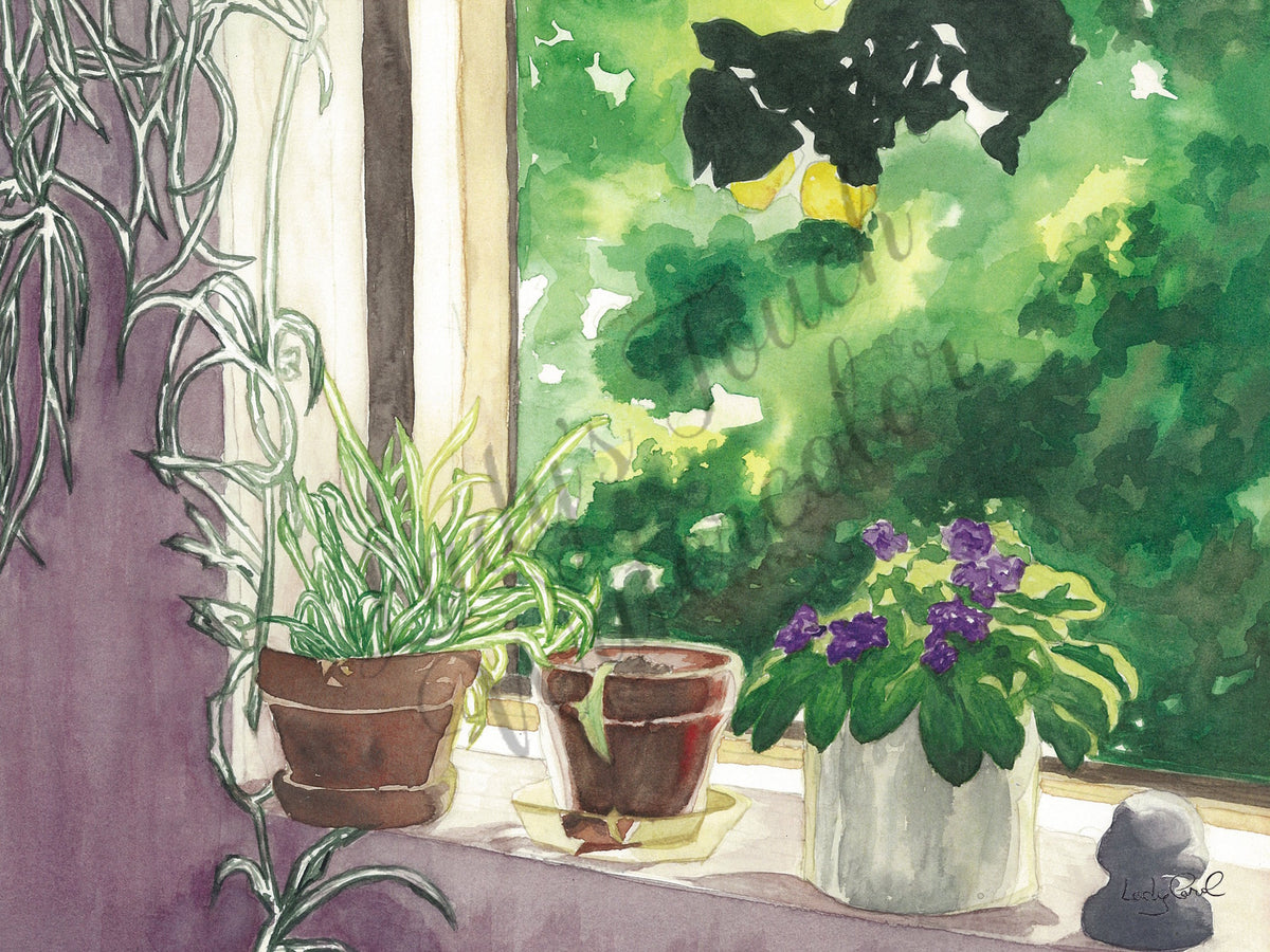The Window Still - Unframed Print