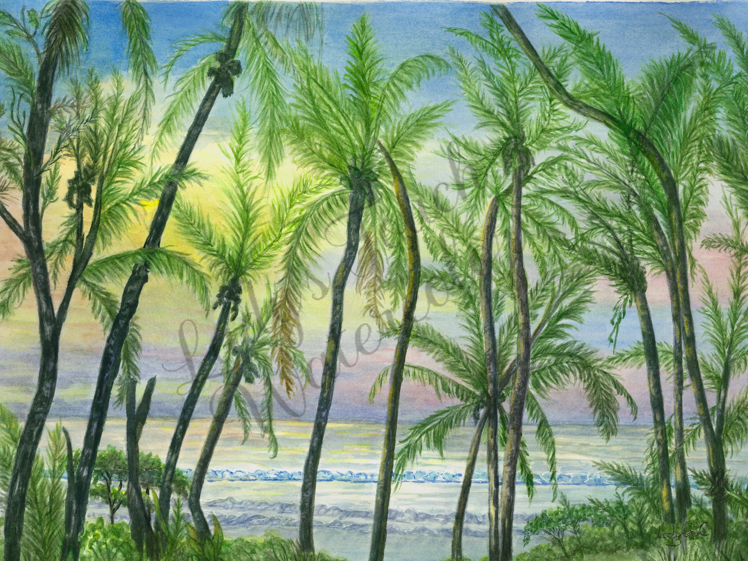 Topara'a Mahana - Unframed Print