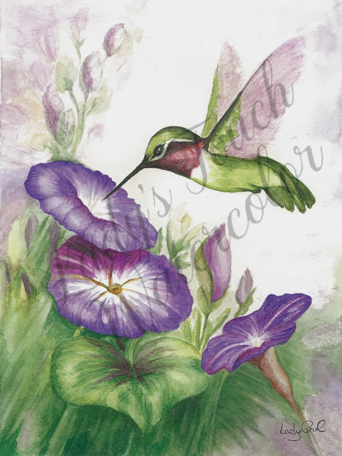 Violet Symphony - Framed - Flowers